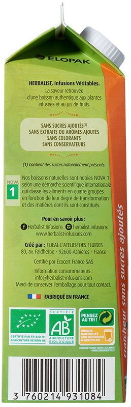 Thé-Glacé-Maté-Vert-Citron-Gingembre-Tonifiant-Allégé